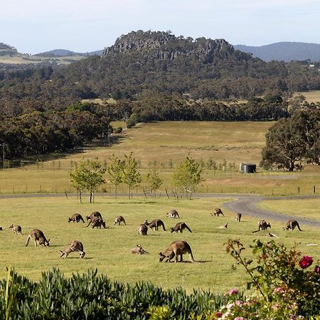Hanging Rock Views Woodend Exterior foto